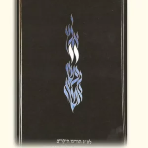 פרוכת לארון הקודש