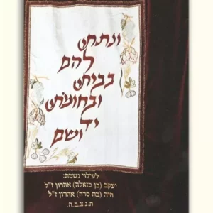 פרוכת לארון הקודש "ונתתי"
