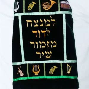 מעיל כלי נגינה