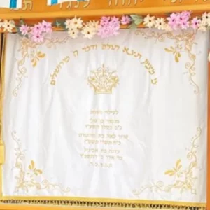 פרוכת מזרח לארון קודש